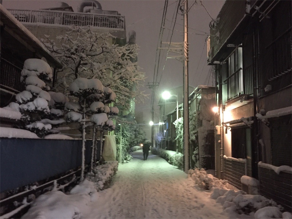 f:id:greenfuse:20180321105829j:image f:id:greenfuse:20180321105829j:image