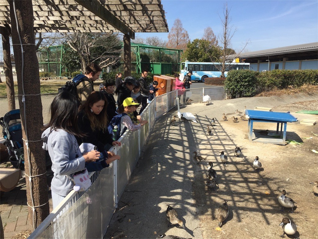 f:id:greenfuse:20180321105907j:image f:id:greenfuse:20180321105907j:image