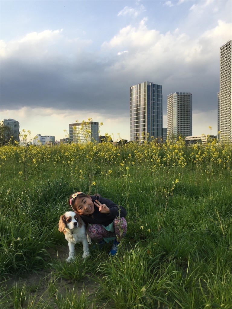f:id:greenfuse:20180503165327j:image