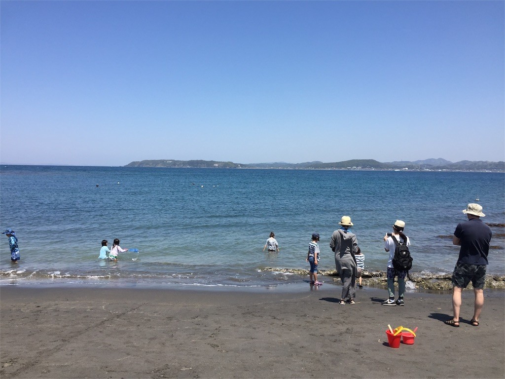 f:id:greenfuse:20180609142813j:image