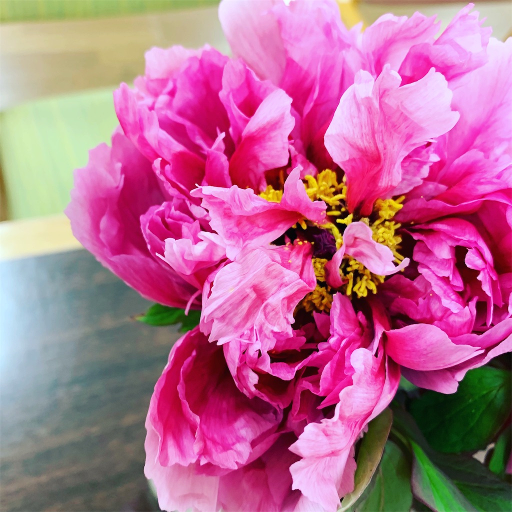 f:id:greengreen8:20190428195634j:image