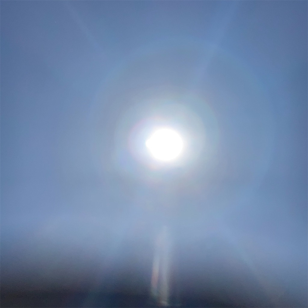 f:id:greengreen8:20190428195803j:image