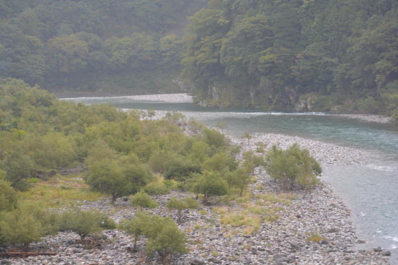 f:id:greengreengrass:20141114055844j:plain f:id:greengreengrass:20141114055844j:plain