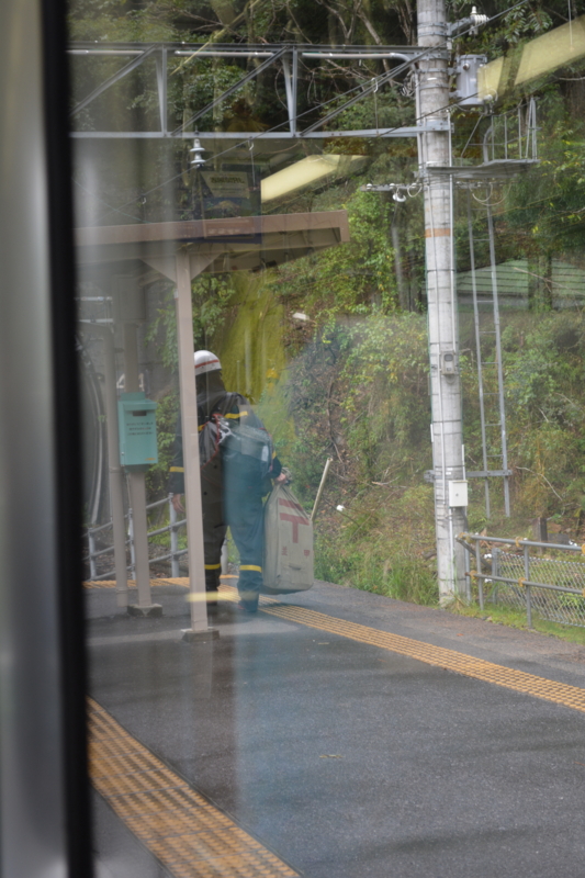 f:id:greengreengrass:20141114060746j:plain f:id:greengreengrass:20141114060746j:plain