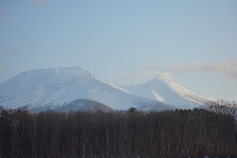 f:id:greengreengrass:20150112102730j:plain