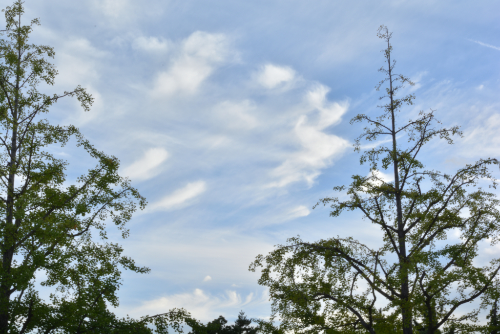 f:id:greengreengrass:20161016102101j:plain