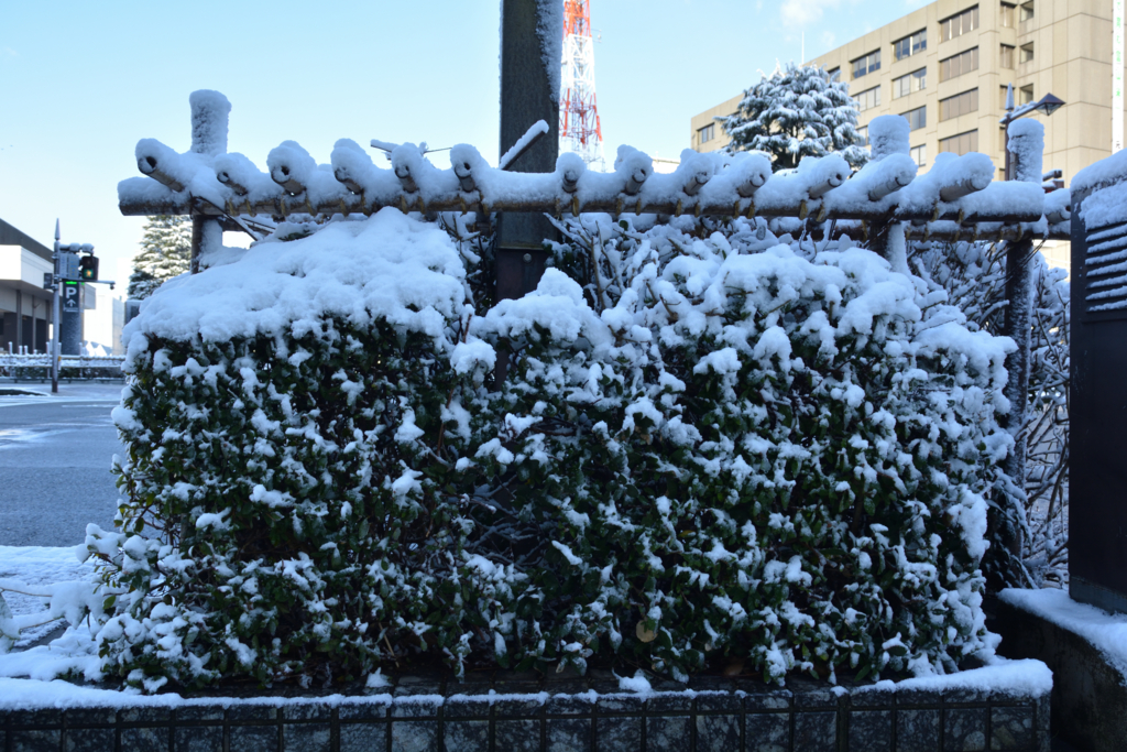 f:id:greengreengrass:20170301082827j:plain