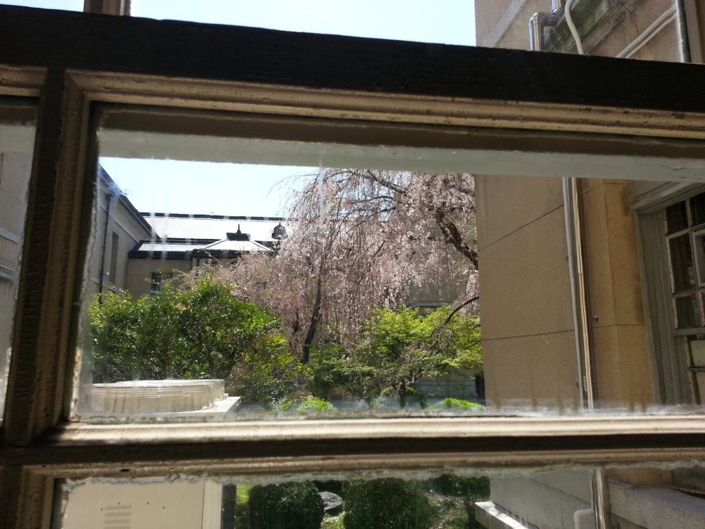 f:id:greengreengrass:20170423111218j:plain f:id:greengreengrass:20170423111218j:plain
