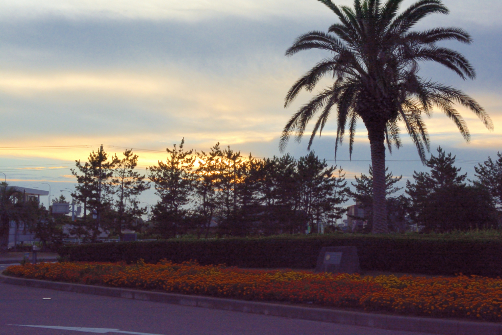 f:id:greengreengrass:20170726112017j:plain