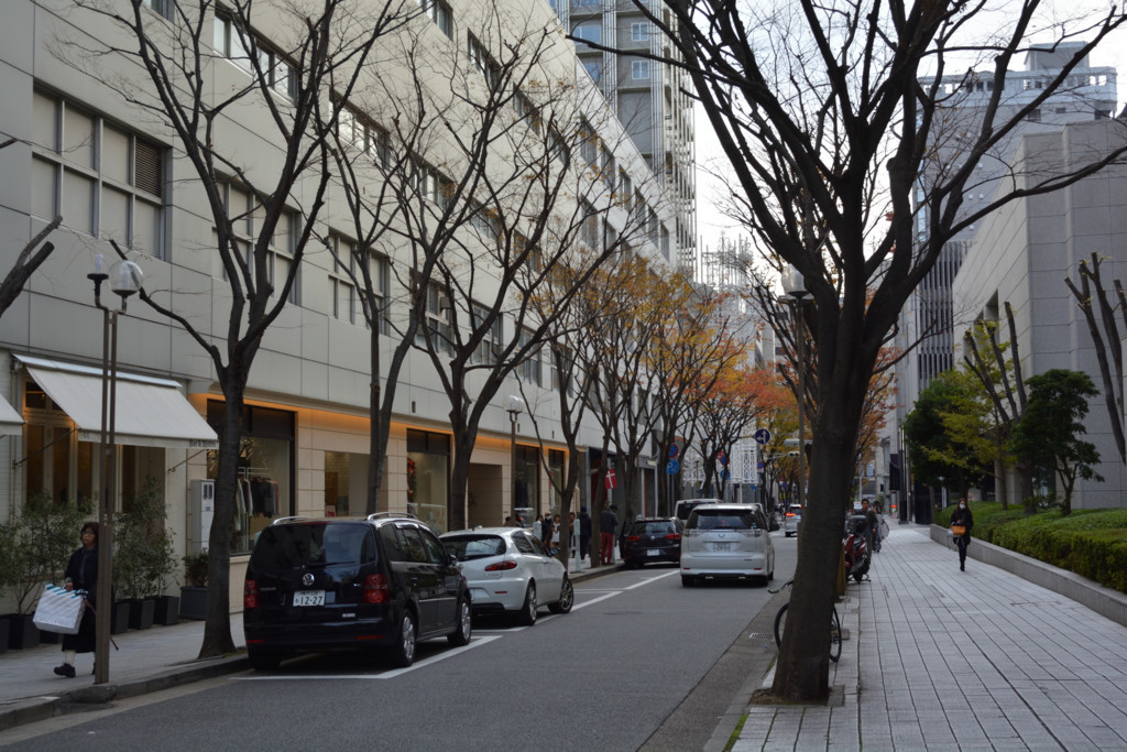 f:id:greengreengrass:20171201080831j:plain