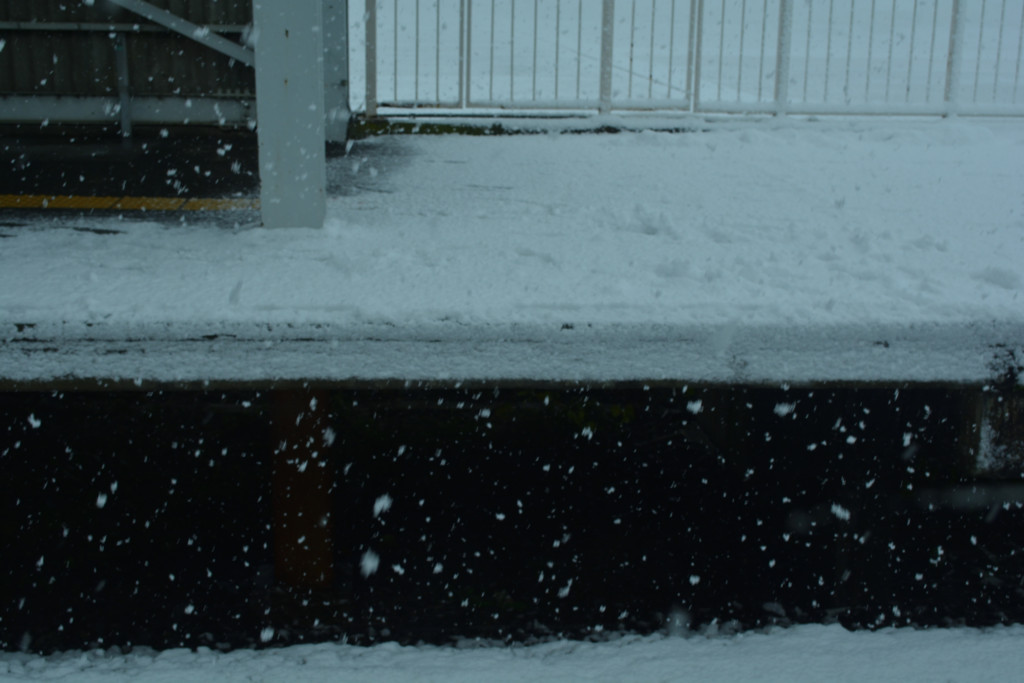 f:id:greengreengrass:20180103112942j:plain f:id:greengreengrass:20180103112942j:plain
