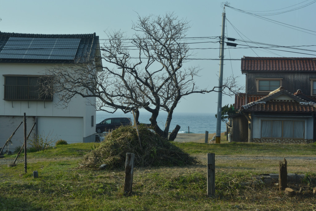 f:id:greengreengrass:20180317083126j:plain