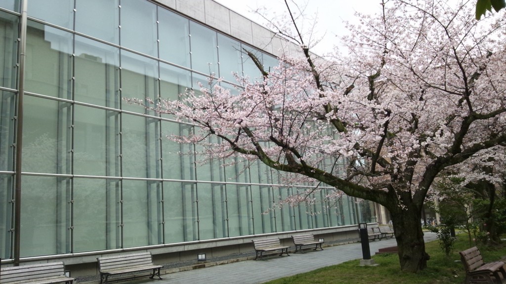 f:id:greengreengrass:20180516111308j:plain