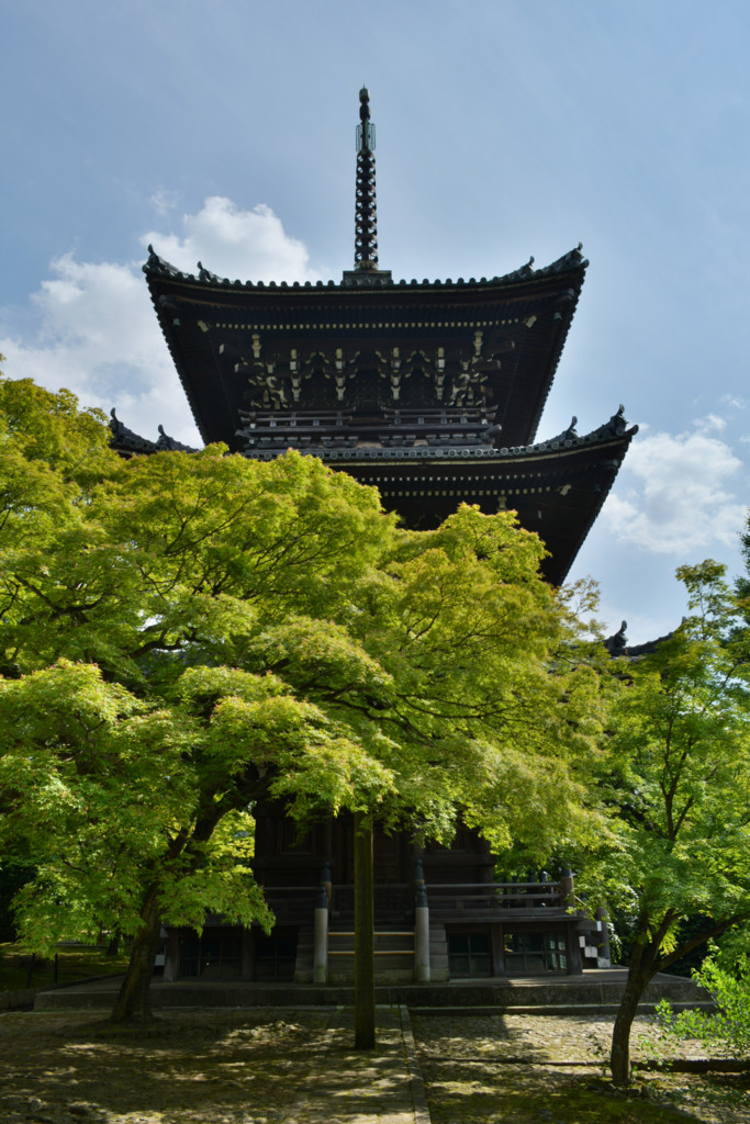 f:id:greengreengrass:20180627100637j:plain f:id:greengreengrass:20180627100637j:plain