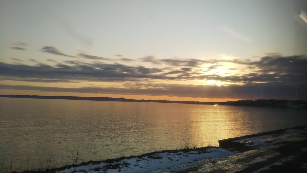f:id:greengreengrass:20190107072928j:plain