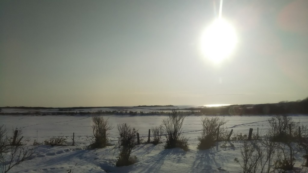 f:id:greengreengrass:20190124083036j:plain