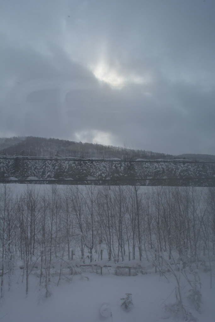 f:id:greengreengrass:20190204065241j:plain