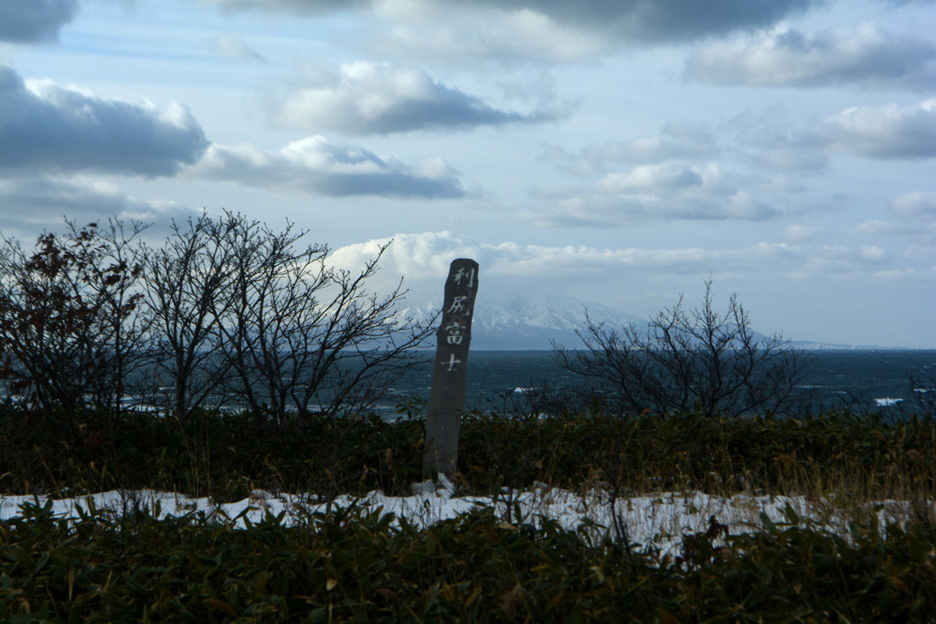 f:id:greengreengrass:20190311132614j:plain