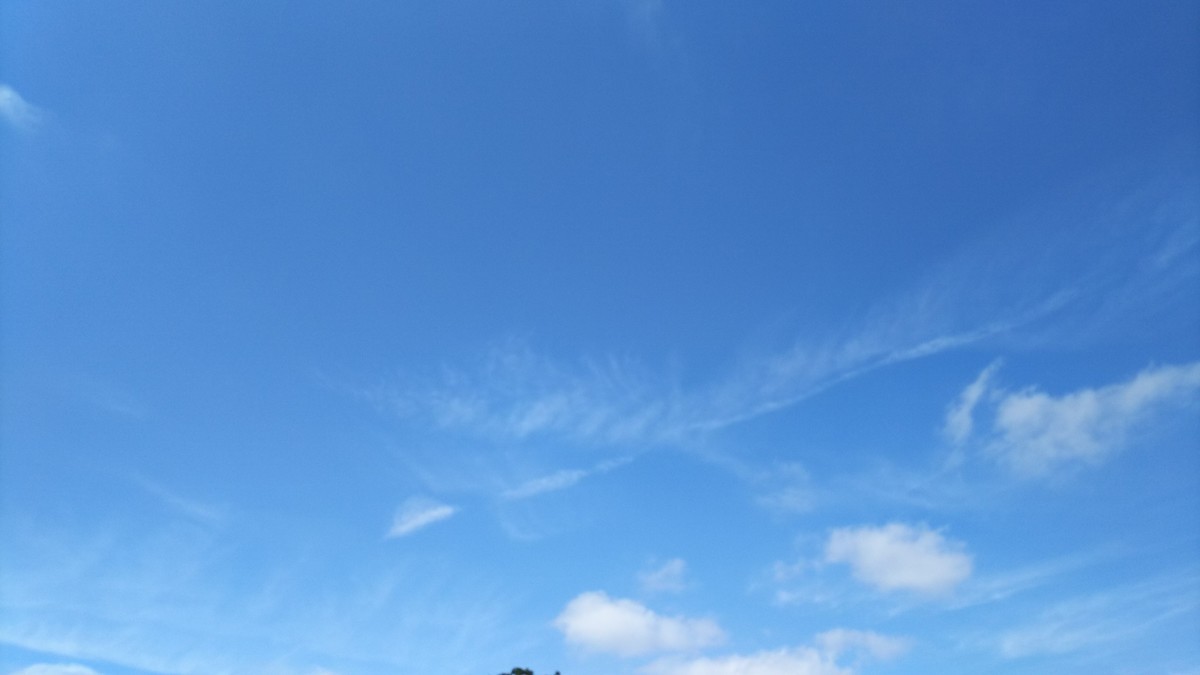 f:id:greengreengrass:20191009161038j:plain f:id:greengreengrass:20191009161038j:plain