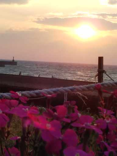 f:id:greengreengrass:20191105073227p:plain f:id:greengreengrass:20191105073227p:plain