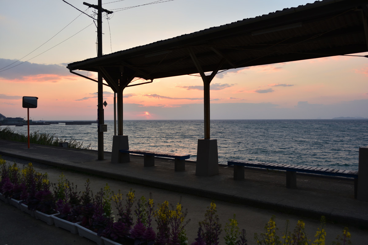 f:id:greengreengrass:20191105073352p:plain f:id:greengreengrass:20191105073352p:plain