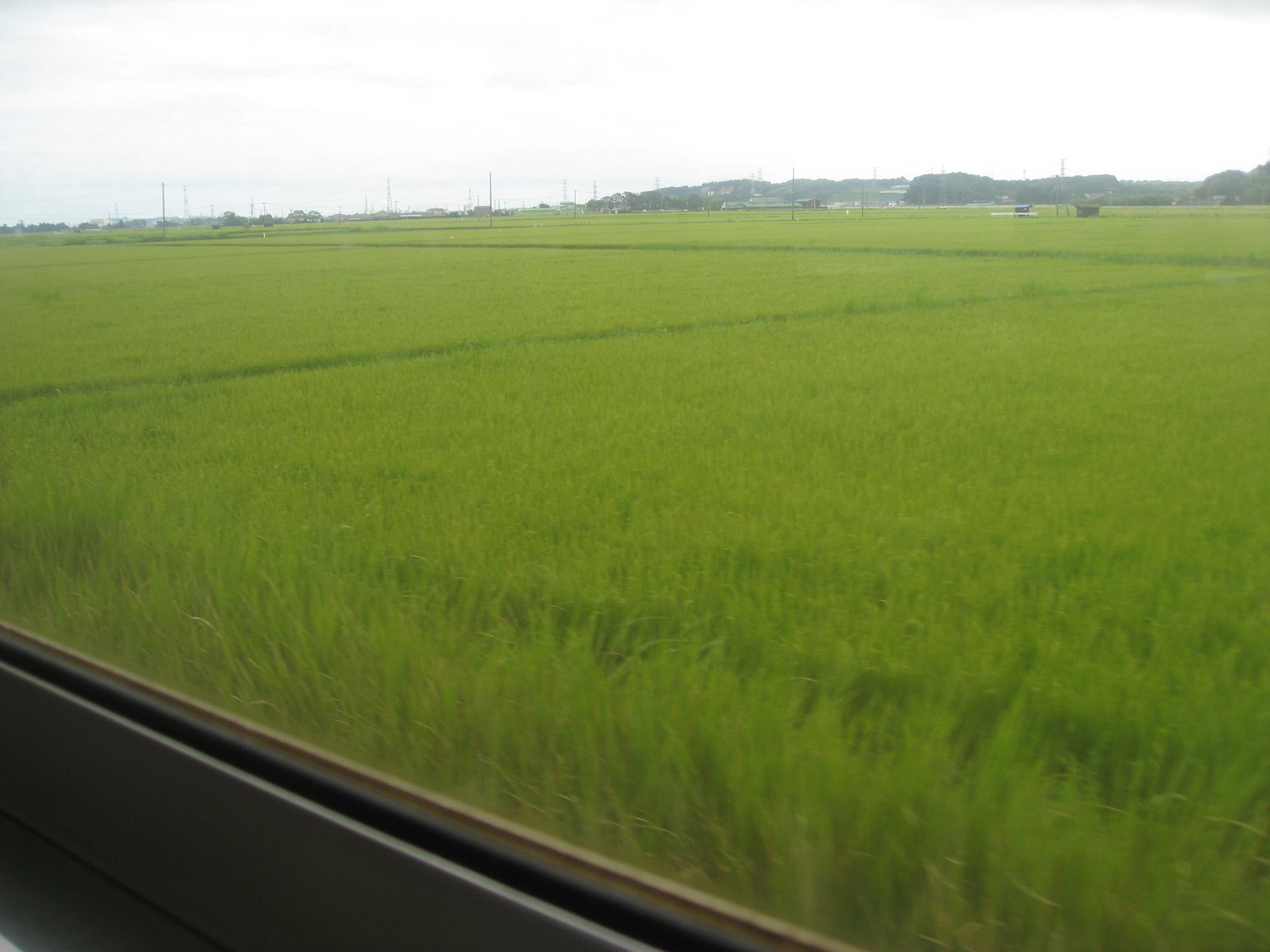 f:id:greengreengrass:20200413154314j:plain