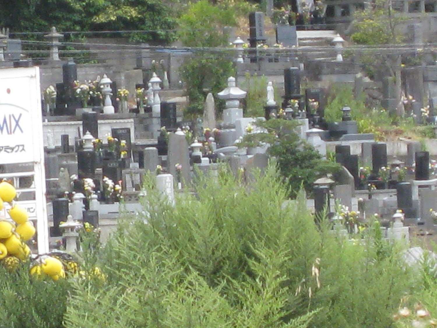 f:id:greengreengrass:20200413155008j:plain