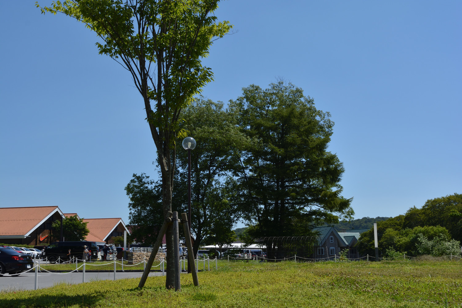 f:id:greengreengrass:20200905090507j:plain f:id:greengreengrass:20200905090507j:plain