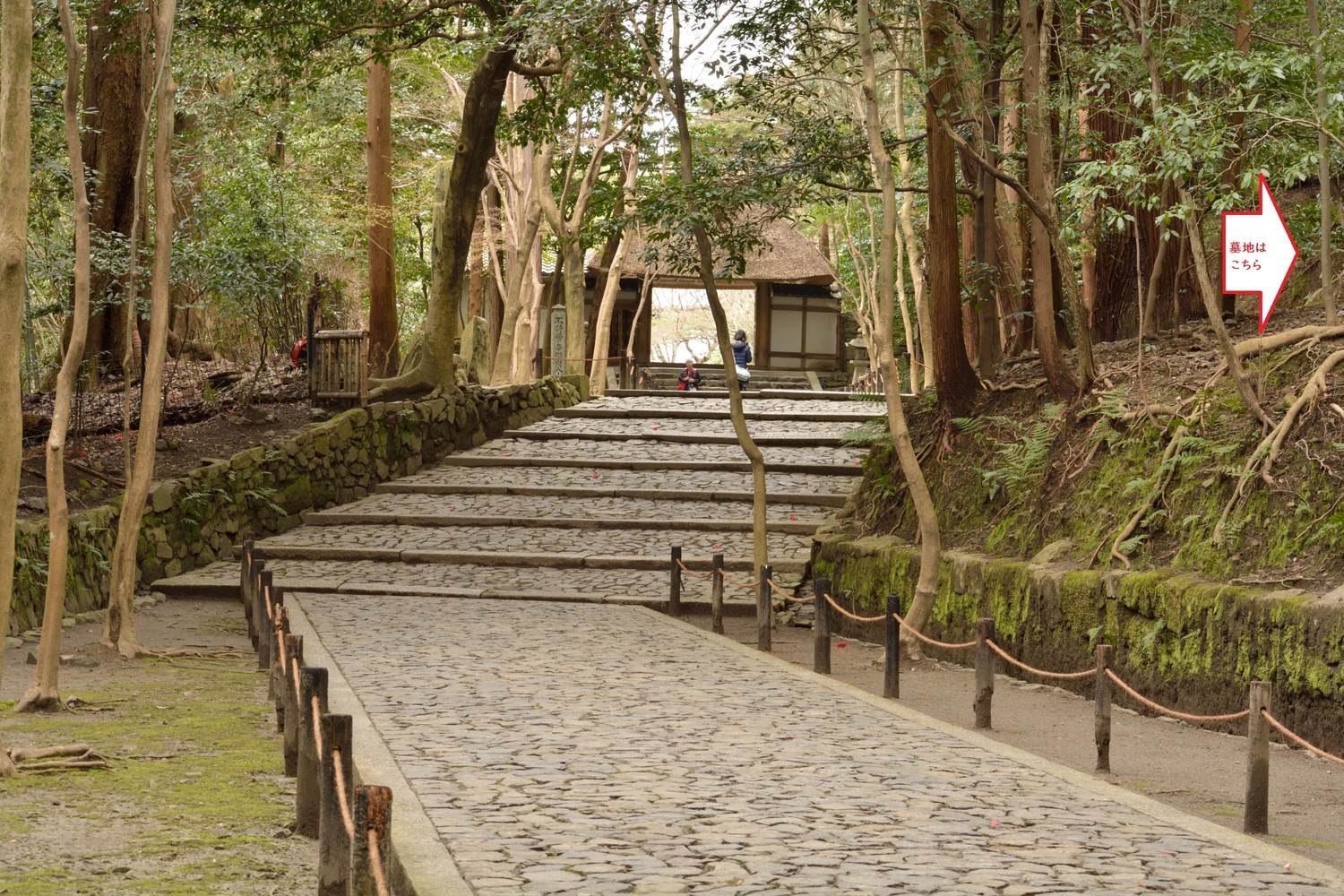 京都歴史周遊 4 法然院4章 - 紙つぶて 細く永く