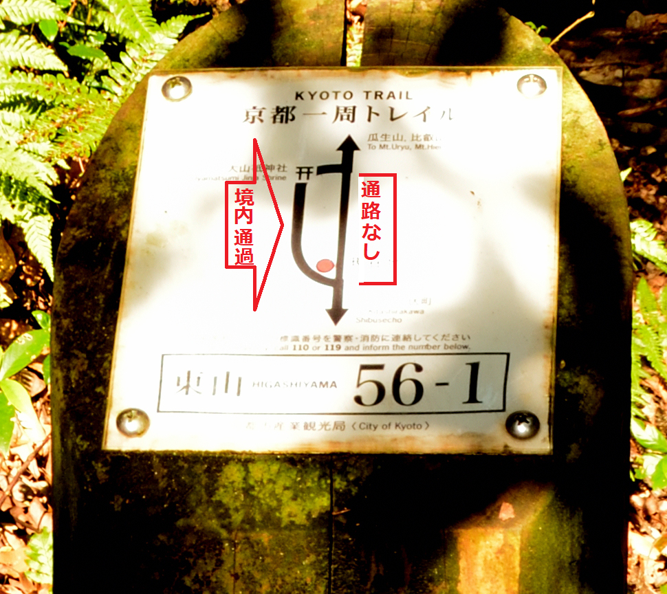 f:id:greengreengrass:20211010162828p:plain