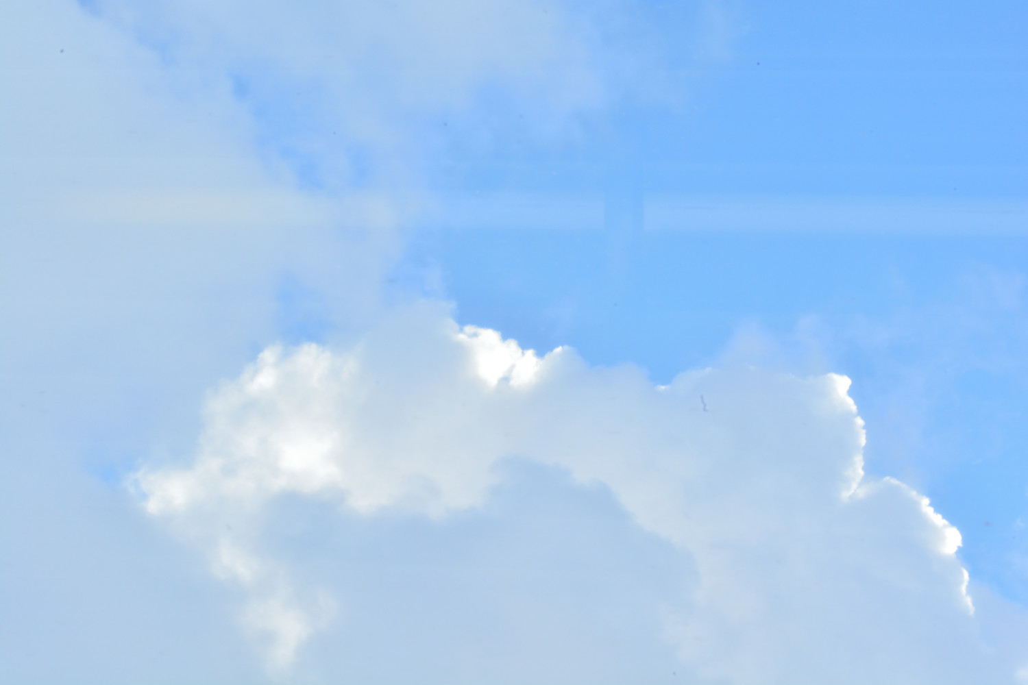 f:id:greengreengrass:20220121091930j:plain