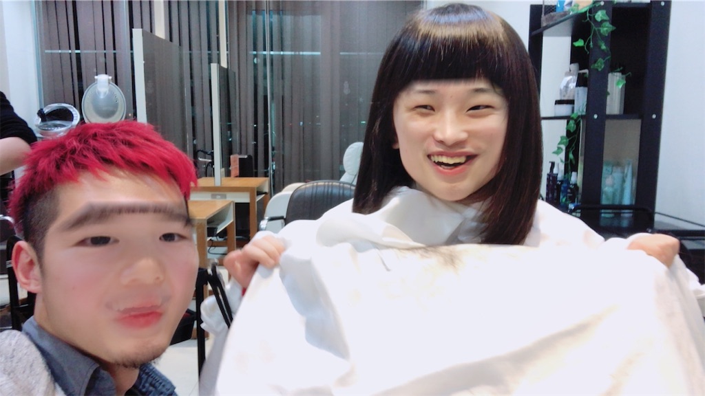 f:id:greenhair:20180128001449j:image