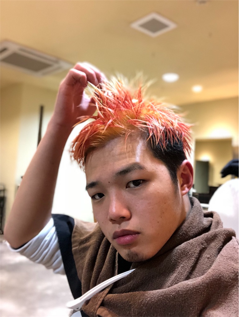 f:id:greenhair:20180128001739j:image