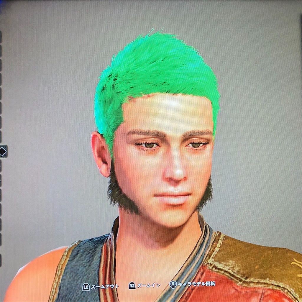 f:id:greenhair:20180129094043j:image