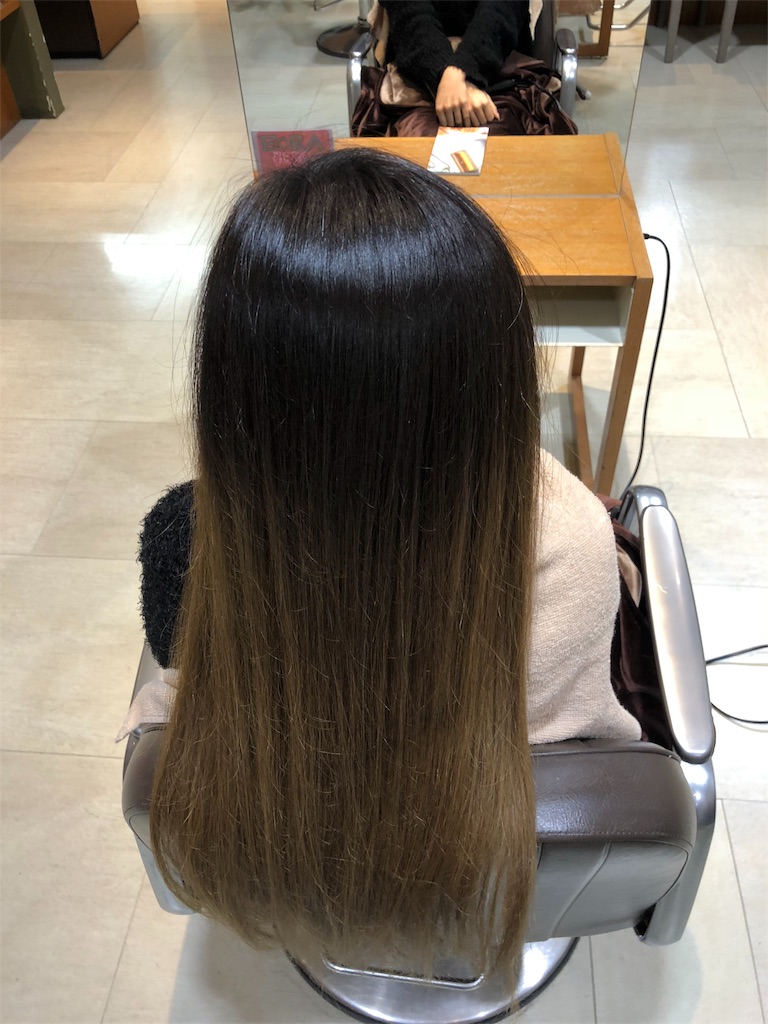 f:id:greenhair:20180211005504j:image f:id:greenhair:20180211005504j:image