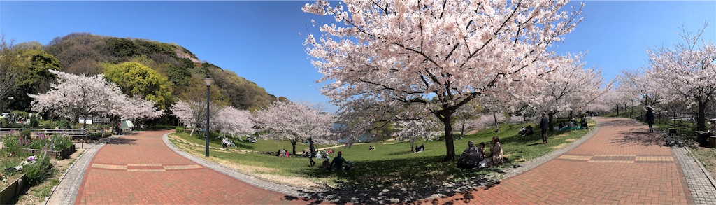f:id:greenlife2525:20190424114016j:image f:id:greenlife2525:20190424114016j:image