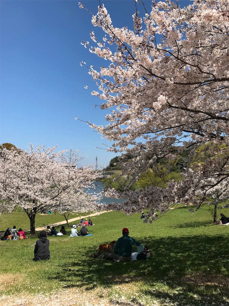 f:id:greenlife2525:20190430172012j:image f:id:greenlife2525:20190430172012j:image