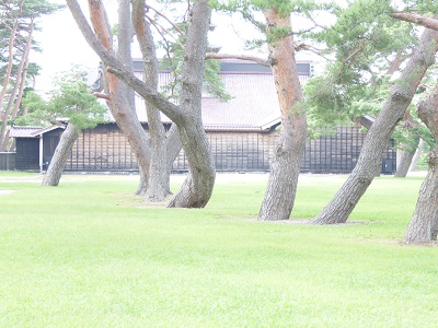 f:id:greenlife5050:20160907134039j:plain f:id:greenlife5050:20160907134039j:plain