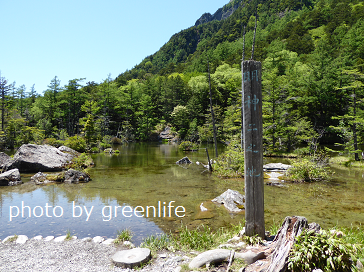 f:id:greenlife5050:20170813142753p:plain f:id:greenlife5050:20170813142753p:plain