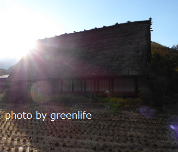 f:id:greenlife5050:20171031125718p:plain f:id:greenlife5050:20171031125718p:plain