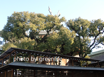 f:id:greenlife5050:20180116142251p:plain f:id:greenlife5050:20180116142251p:plain