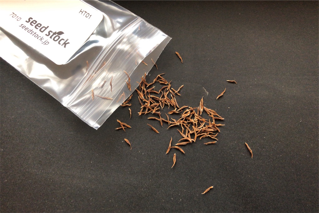 Hechtia lanata/ヘクチア・ラナータの実生について(播種 Hechtia lanata/ヘクチア・ラナータの実生について(播種