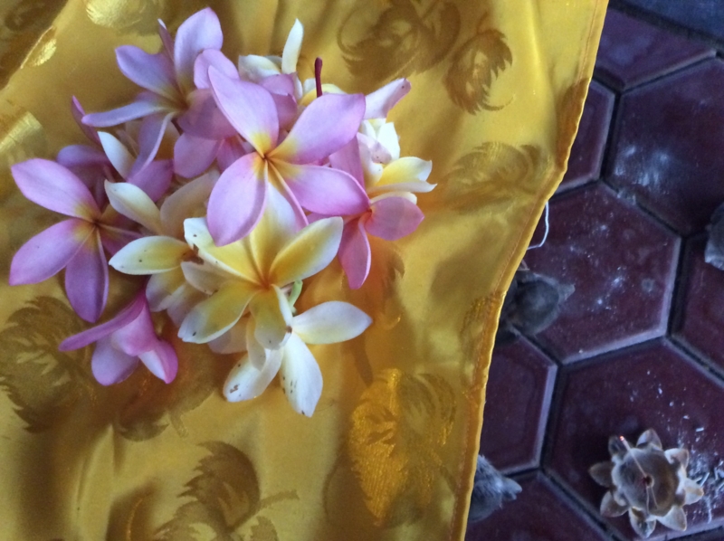 f:id:greenmanbali:20151207054800j:image