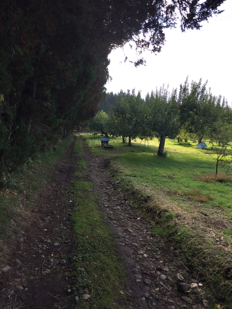 f:id:greenpeak-guide:20181103003213j:plain