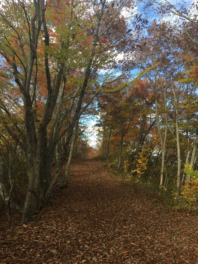 f:id:greenpeak-guide:20181103005830j:plain