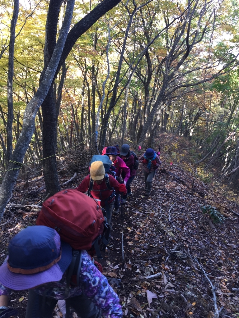 f:id:greenpeak-guide:20181103010739j:plain
