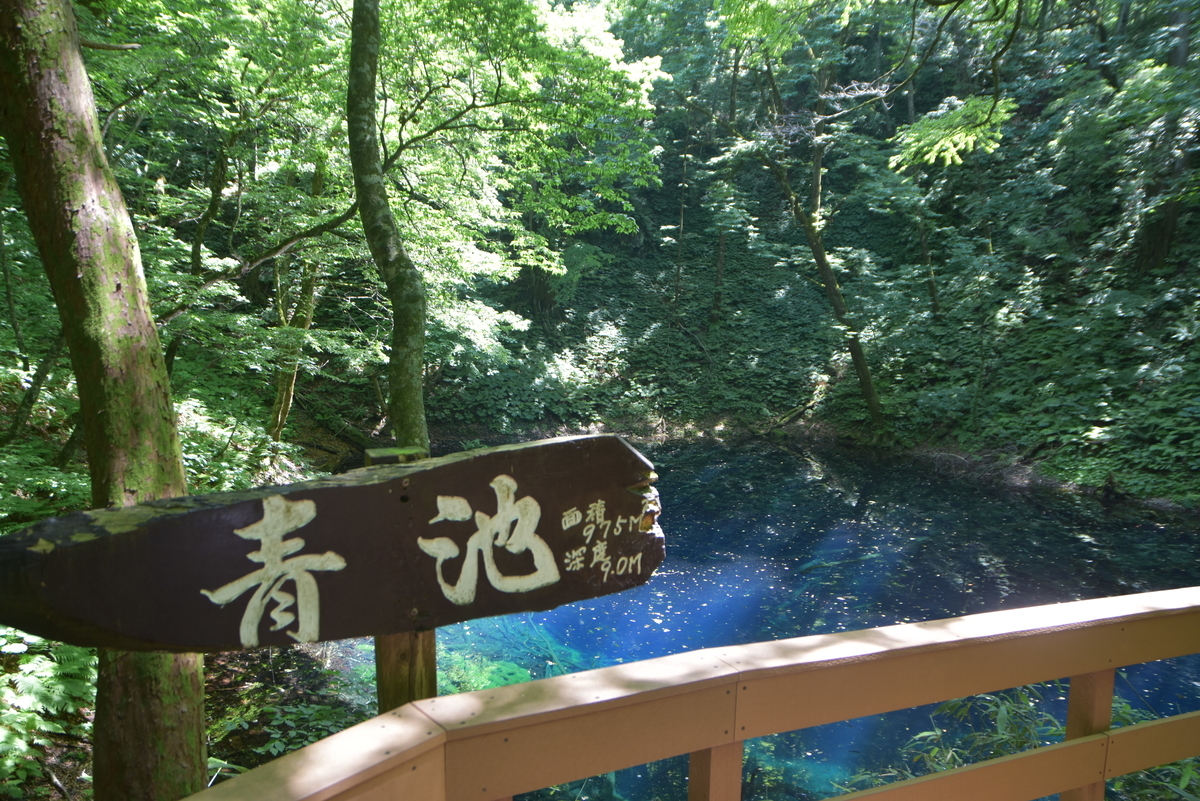 f:id:greenpeak-guide:20200830180228j:plain