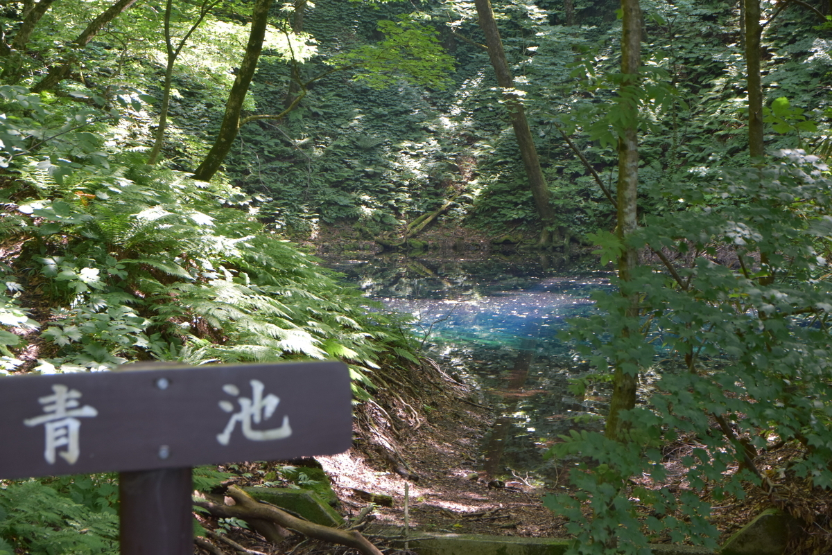 f:id:greenpeak-guide:20200830184134j:plain