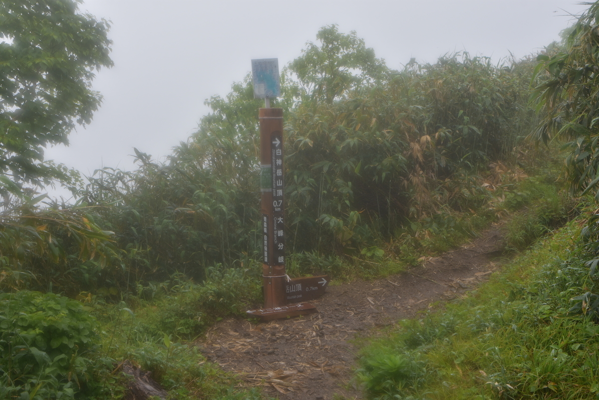 f:id:greenpeak-guide:20200831001255j:plain