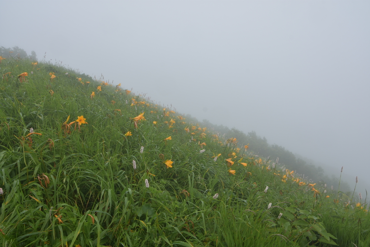 f:id:greenpeak-guide:20200831001637j:plain